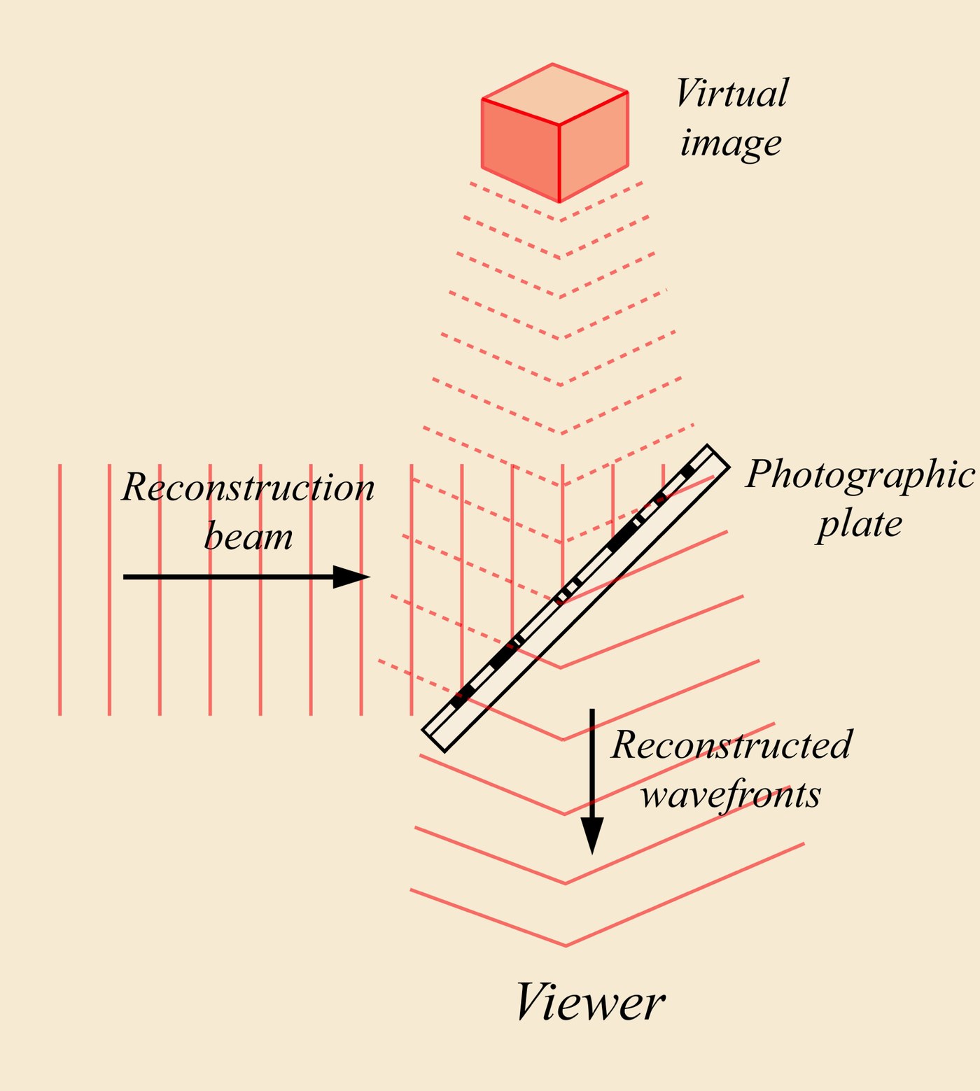 Diagram of a reconstruction beam passing a photographic plate to form a virtual image